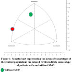 Vol15No3_Som_Mou_fig1