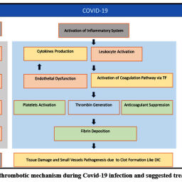 The Implications of COVID-19 Infection on Hematologic Parameters and ...
