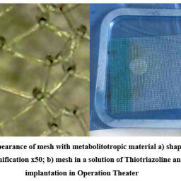 Regenerative Properties of Polypropylene Mesh Coated with ...