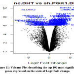 Vol16No2_Dec_Abh_fig11