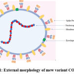 Vol16No2_Sys_Man_fig1