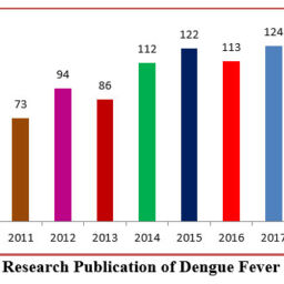 dengue fever research articles