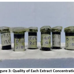 Effect of Gel from Erythrina Subumbrans And Plectranthus Amboinicus ...