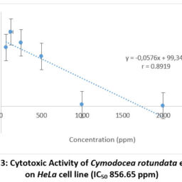 Cytotoxic and Antiproliferative Testing of HeLa Cervical Cancer Cells ...