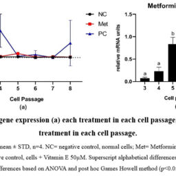 Effect of Metformin on Interleukin-6 Expression in Human Fibroblast ...