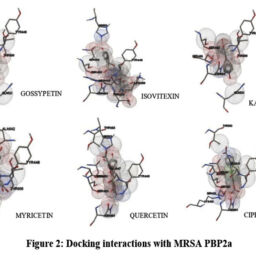 Molecular Docking Studies and Antibacterial Evaluation of Urtica ...