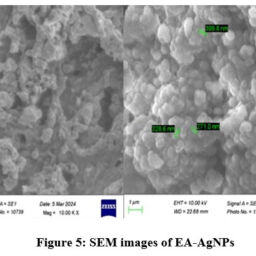 Antiproliferative Activity of Green Process Synthesized Epipremnum ...