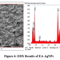 Antiproliferative Activity of Green Process Synthesized Epipremnum ...