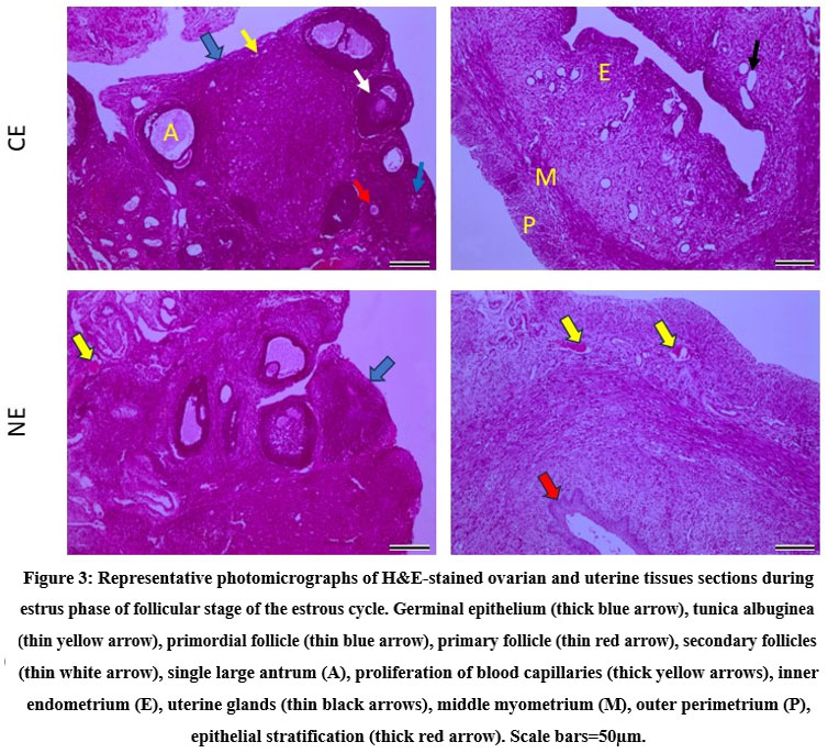 Vol17No3_Nee_Ran_Fig3.jpg