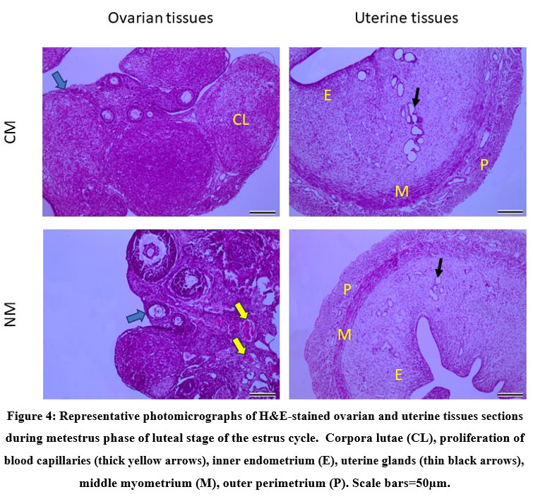 Vol17No3_Nee_Ran_Fig4.jpg