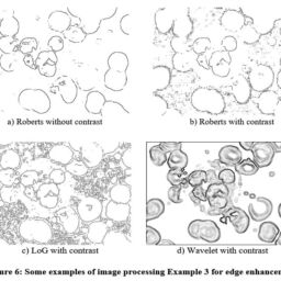 Edge Detection and Contrast Enhancement in the Examination of ...