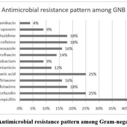 Bacteriological Profile, Drug Resistance Pattern and its Molecular ...