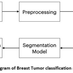 Classification and Segmentation of Breast Tumor Ultrasound Images using ...