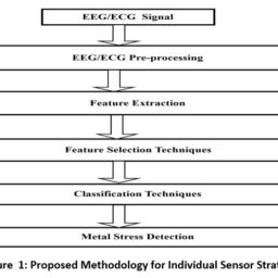 AI-Driven Multimodal Stress Detection: A Comparative Study – Biomedical ...