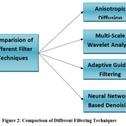 Comparative Analysis of Image Denoising Techniques for Osteoporosis ...