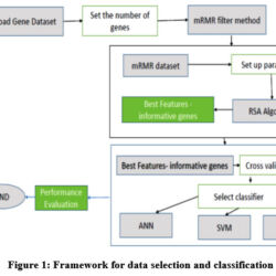 A Hybrid mRMR-RSA Feature Selection Approach for Lung Cancer Diagnosis ...
