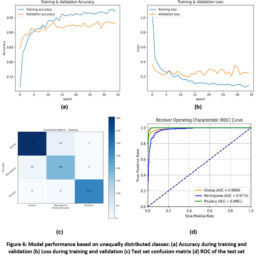 Classification of Brain Tumor Using an Optimized Deep Learning ...