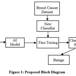 Comparative Analysis of Transfer Learning Models for Breast Cancer ...