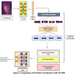 Synergistic Integration of 3D CNN and Vision Transformers for Enhanced ...