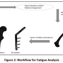 Finite Element Analysis of Proximal Femur Fractures: Evaluating Fatigue ...