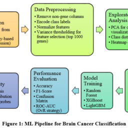 Gene Expression Data-Based Interpretable Machine Learning Framework for ...