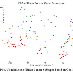 Gene Expression Data-Based Interpretable Machine Learning Framework for ...