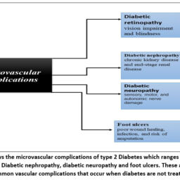 A Review on Type 2 Diabetes Mellitus: Pathophysiology, Risk Factors ...